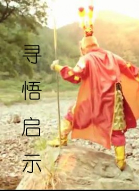 寻悟启示