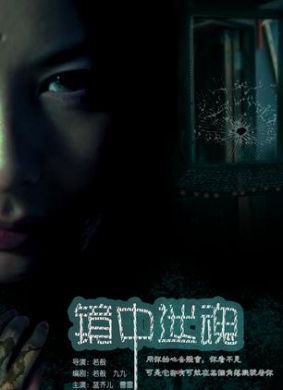 镜中迷魂Jing zhong mi hun