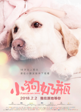 小狗奶瓶Find my way home