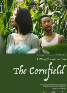 玉米人Corn Fields
