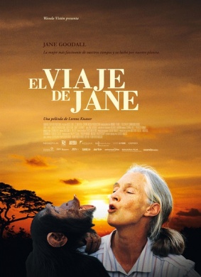 真爱旅程Jane's Journey