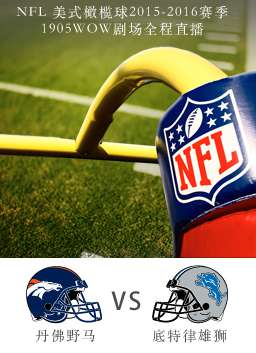 2015-2016赛季NFL明尼苏达维京人VS绿湾包装工