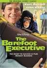 赤足董事长The Barefoot Executive