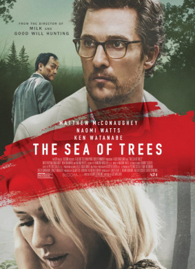 青木原树海Sea of Trees