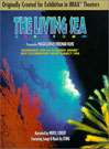 原色深海The Living Sea