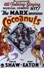 椰子果The Cocoanuts