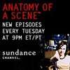 Anatomy of a Scene