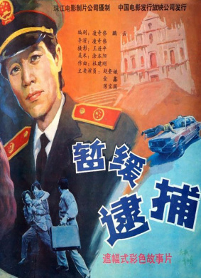 暂缓逮捕Suspended Arrest