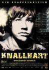 黑道新鲜人Knallhart