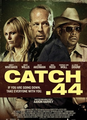 第44条军规Catch .44