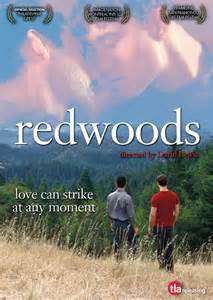 红杉林Redwoods