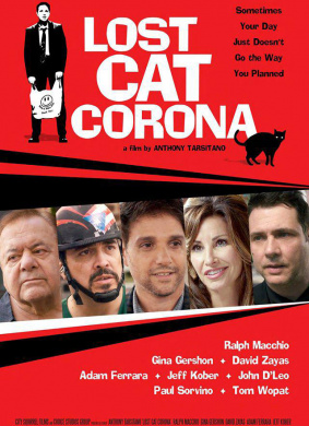 科罗拉丢失的猫Lost Cat Corona